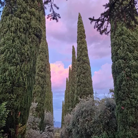 Casale La Carraia Botto